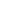 Initiatie